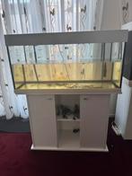 Aquarium, Dieren en Toebehoren, Vissen | Aquaria en Toebehoren, Ophalen of Verzenden, Zo goed als nieuw, Leeg aquarium