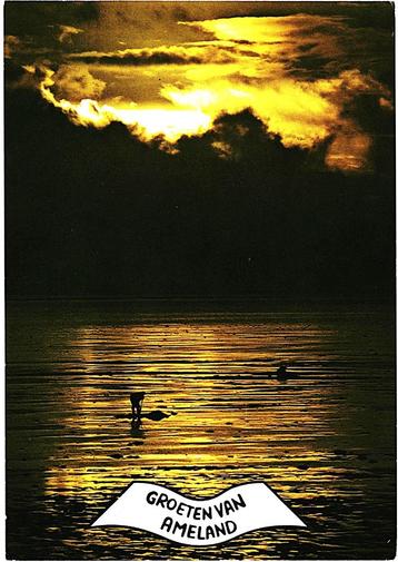 914260 Ameland Strand Postzegel afgeweekt beschikbaar voor biedingen