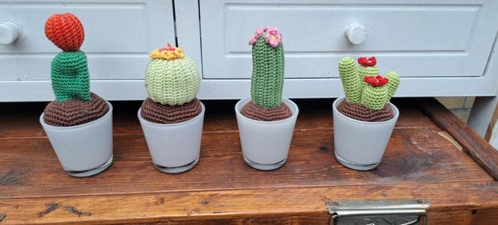 te koop 4 glazen potje s met gebreide cactus, Verzamelen, Beelden en Beeldjes, Nieuw, Overige typen, Ophalen of Verzenden