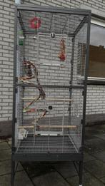 Vogelkooi voilere, Ophalen, Zo goed als nieuw, Metaal, Volière