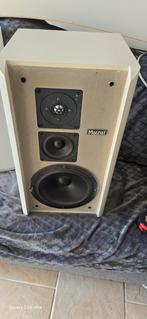 MAGNAT ZERO 4 2X, Ophalen, Magnat, Zo goed als nieuw, 120 watt of meer