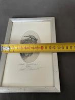 Oude gravure van een zwijn in lijst, Ophalen of Verzenden