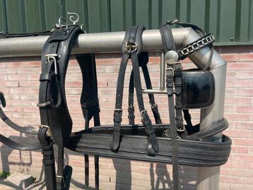 Enkelspan full tuig ideal equestrian beschikbaar voor biedingen