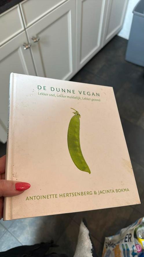 Antoinette Hertsenberg - De dunne vegan, Boeken, Kookboeken, Gelezen, Hoofdgerechten, Ophalen of Verzenden