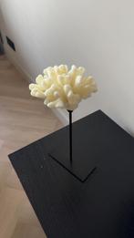 Decoratief Object, Koraalvorm op Zwarte Sokkel, Ophalen of Verzenden