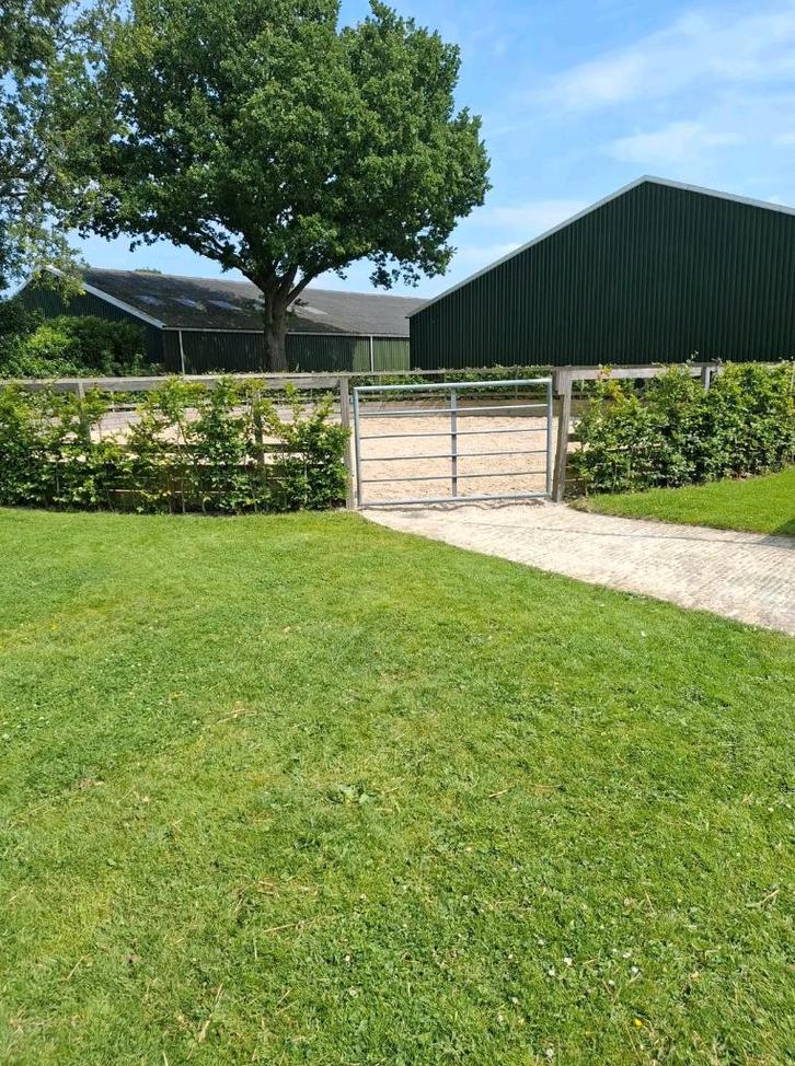 Stalling met weidegang, Dieren en Toebehoren, Stalling en Weidegang, Stalling, 1 paard of pony