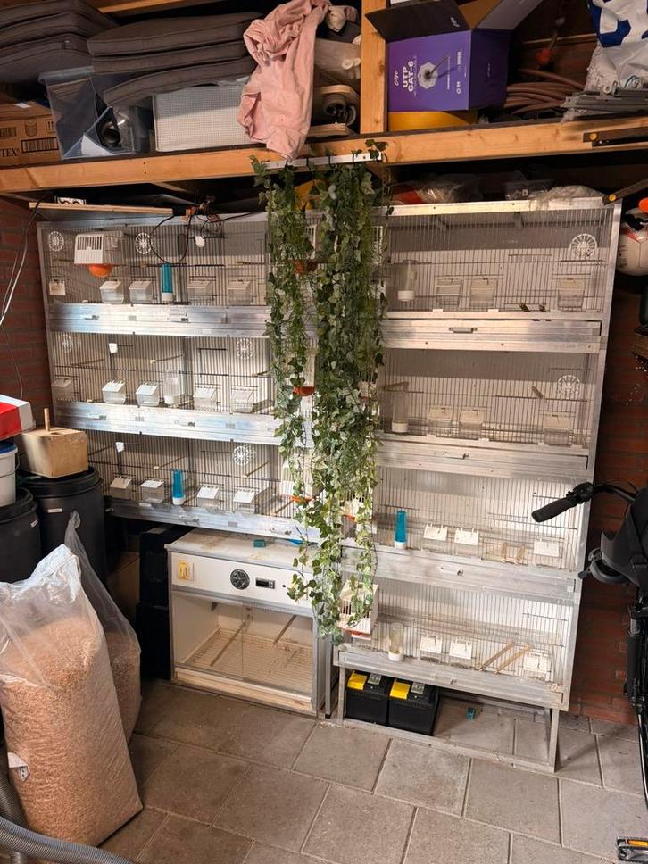 aluminium broedkooien, Dieren en Toebehoren, Reptielen en Amfibieën | Toebehoren, Zo goed als nieuw, Ophalen of Verzenden