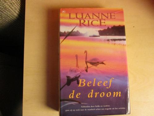 beleef de droom Luanne Rice 9789044307245, Boeken, Romans, Gelezen, Nederland, Ophalen of Verzenden