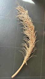 Decoratieve Gedroogde Tak - 144cm, Ophalen, Gebruikt
