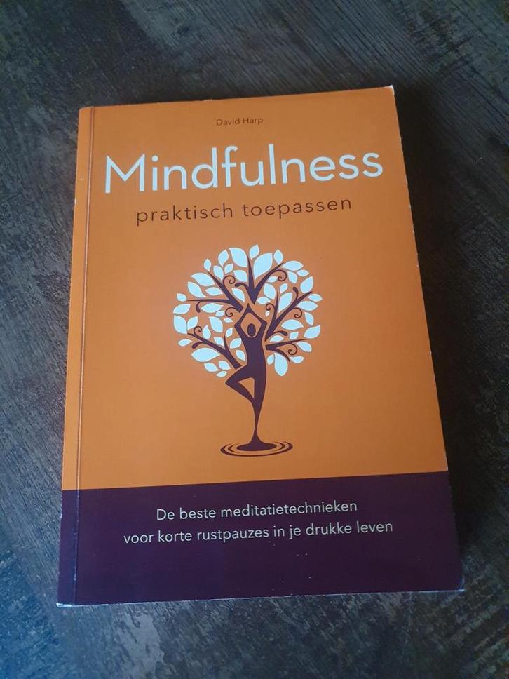 Mindfulness: Praktisch Toepassen - David Harp, Boeken, Esoterie en Spiritualiteit, Zo goed als nieuw, Achtergrond en Informatie
