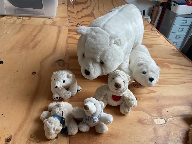 Knuffel IJsberen Collectie - Groot & Klein, Kinderen en Baby's, Speelgoed | Knuffels en Pluche, Gebruikt, Beer, Ophalen