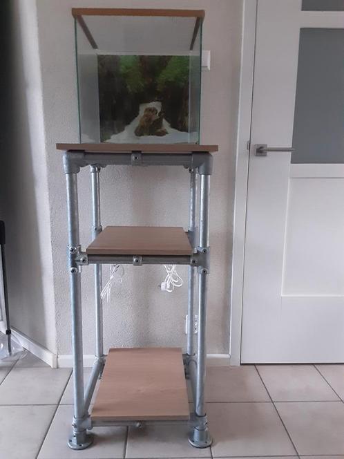Industriëel aquarium meubel, Dieren en Toebehoren, Vissen | Aquariumvissen, Vis