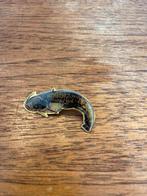 Vis Speldje meerval, Ophalen of Verzenden, Zo goed als nieuw, Dier of Natuur, Speldje of Pin