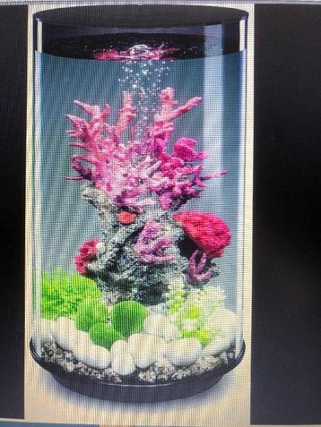 Aquarium BiOrb Tube 30 LED beschikbaar voor biedingen