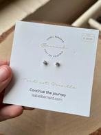 Zilveren Oorbellen met Steentje, Met kristal, Nieuw, Ophalen of Verzenden, Knopjes of Stekers