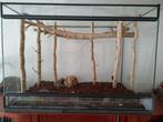 Terrarium,  H.52 cm, D. 52,5 cm en Br. 82,7cm, Ophalen, Zo goed als nieuw, Terrarium of Paludarium