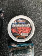 NIEUW Heidehengelsport voer pakket (onze aanrader), Watersport en Boten, Hengelsport | Witvissen, D, Overige typen, Nieuw, Ophalen of Verzenden