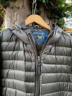 WOOLRICH donsjas olijf mtL M/V €100- TIEN concepts Instagram, TIEN concepts, -, Maat 48/50 (M), -