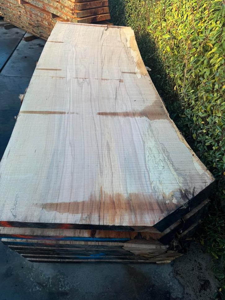Zeer mooie grote boomstam bladen, Doe-het-zelf en Verbouw, Hout en Planken, Nieuw, Plank, Overige houtsoorten, 250 tot 300 cm