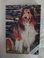 2x Ravensburger puzzel Schotse herdershond - paard 128 st, Verzenden, Meer dan 50 stukjes, Gebruikt, 4 tot 6 jaar