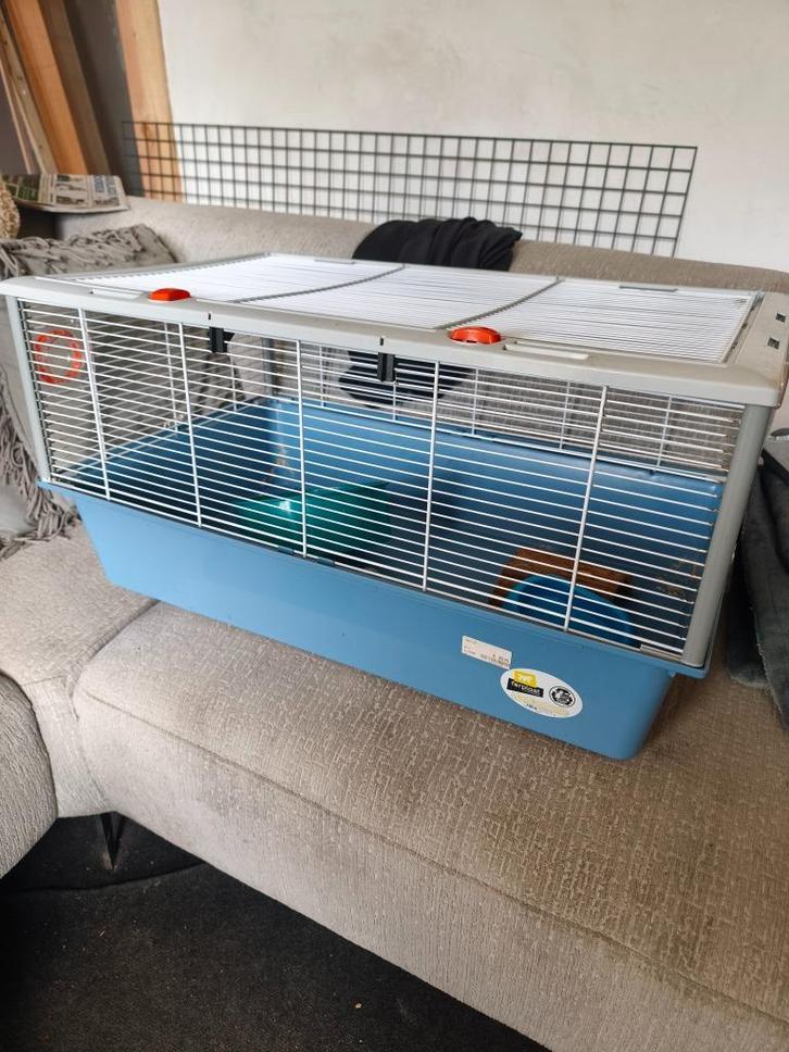 Ferplast grote hamster, cavia kooi, Dieren en Toebehoren, Overige Dieren-accessoires, Gebruikt, Ophalen of Verzenden