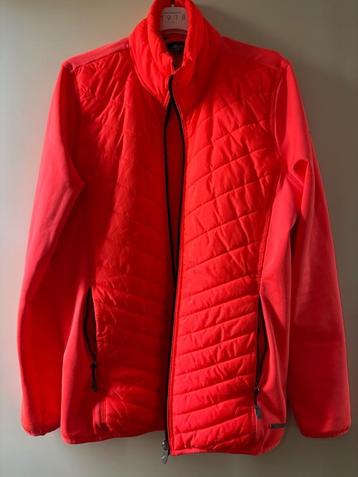 Falcon midlayer jas / jack maat xl oranje beschikbaar voor biedingen