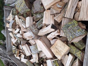 Haardhout kachelhout stookhout brandhout POPULIER beschikbaar voor biedingen