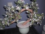 bonsai boompje met bloemen van glas, Huis en Inrichting, Woonaccessoires | Kunstplanten en Kunstbloemen, Ophalen of Verzenden