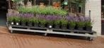 6x Platte kar, transportkar plantenkar palletkar 244x82 cm, Ophalen, Gebruikt, Transportkar