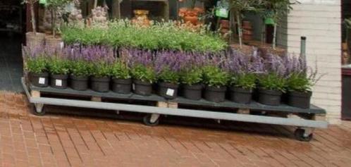 6x Platte kar, transportkar plantenkar palletkar 244x82 cm, Doe-het-zelf en Verbouw, Transportwagens, Gebruikt, Transportkar, Ophalen