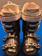 Skischoenen, Sport en Fitness, Ophalen, 160 tot 180 cm, Gebruikt, Schoenen