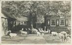 ANSICHTKAART AMSTERDAM ARTIS KINDERBOERDERIJ, Verzamelen, Verzenden, 1940 tot 1960, Gelopen, Noord-Holland