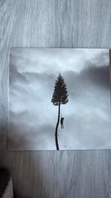 LP Manchester Orchestra vinyl beschikbaar voor biedingen