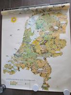 Oude schoolplaat Ingrepen in de landschappen van Nederland, Antiek en Kunst, Antiek | Schoolplaten, Ophalen of Verzenden, Aardrijkskunde