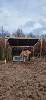 Afdak hout en zeil 4x4 vergunningsvrij, Dieren en Toebehoren, Stalling en Weidegang, Toebehoren, 2 of 3 paarden of pony's