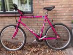 Giant Terrago Vintage MTB, Ophalen, Gebruikt, 57 cm of meer, Heren