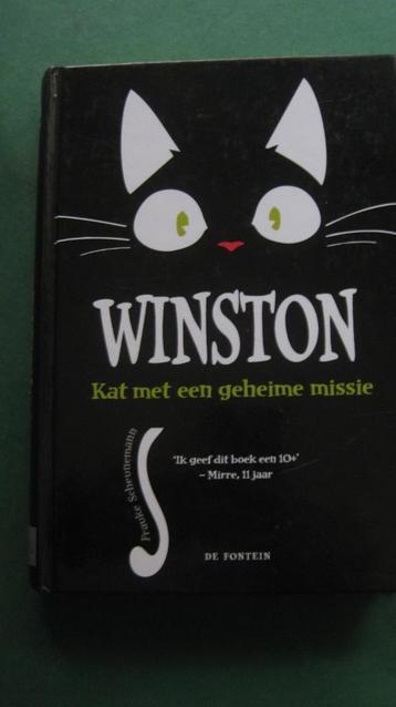Winston – Kat met een geheime missie beschikbaar voor biedingen