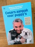 Cesar Millan - Cesars aanpak voor puppy's, Honden, Zo goed als nieuw, Cesar Millan, Ophalen of Verzenden