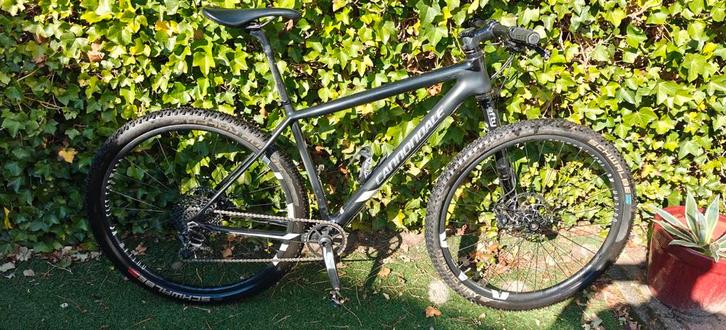 Cannondale Black Inc. Mountainbike - Hardtail, Fietsen en Brommers, Fietsen | Mountainbikes en ATB, Gebruikt, 45 tot 49 cm, Hardtail