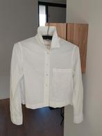 Closed, wit blousje, kort model, maat L, Kleding | Dames, Closed, Verzenden, Zo goed als nieuw, Wit