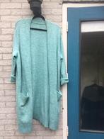 HEERLIJK ZACHT LICHTTURQOISE VEST, NIEUW,mt 38-48, Ophalen of Verzenden, Nieuw, Maat 42/44 (L), Overige kleuren