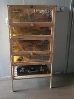 Hamsterkooi /hamsterhok 2 verdiepingen, Dieren en Toebehoren, Knaagdieren en Konijnen | Hokken en Kooien, Ophalen, Kooi, Gebruikt