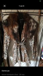 Dames jas, Kleding | Dames, Jassen | Winter, Ophalen of Verzenden, Zo goed als nieuw, Maat 38/40 (M), Zwart