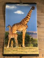 Invroheat Infrarood verwarming in poster-vorm giraffe, Overige typen, Minder dan 60 cm, Ophalen of Verzenden, Zo goed als nieuw