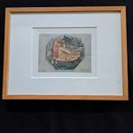 Schilderijen, Antiek en Kunst, Kunst | Etsen en Gravures, Ophalen of Verzenden