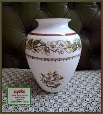 Grote VAAS "Christmas Rose" (Helleborus) Spode Porselein beschikbaar voor biedingen