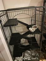 Fretten of knaagdier hok, Ophalen, 110 cm of meer, Zo goed als nieuw, 90 cm of meer