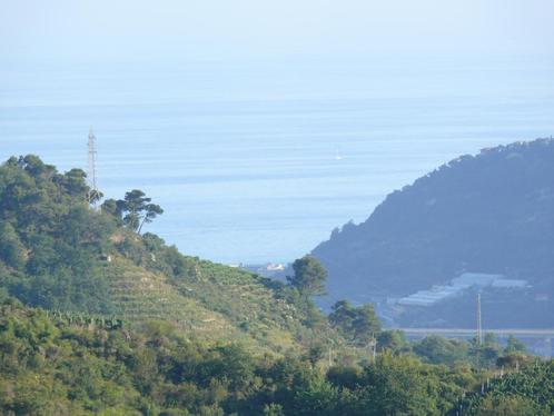 Paradijselijk grondstuk+ruïne en olijfbomen in Dolceacqua IT, Huizen en Kamers, Buitenland, Italië, Kavel of Perceel, Landelijk