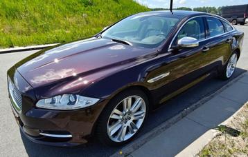 Jaguar XJ 3.0 D V6 AUT 2010 Caviar Red beschikbaar voor biedingen