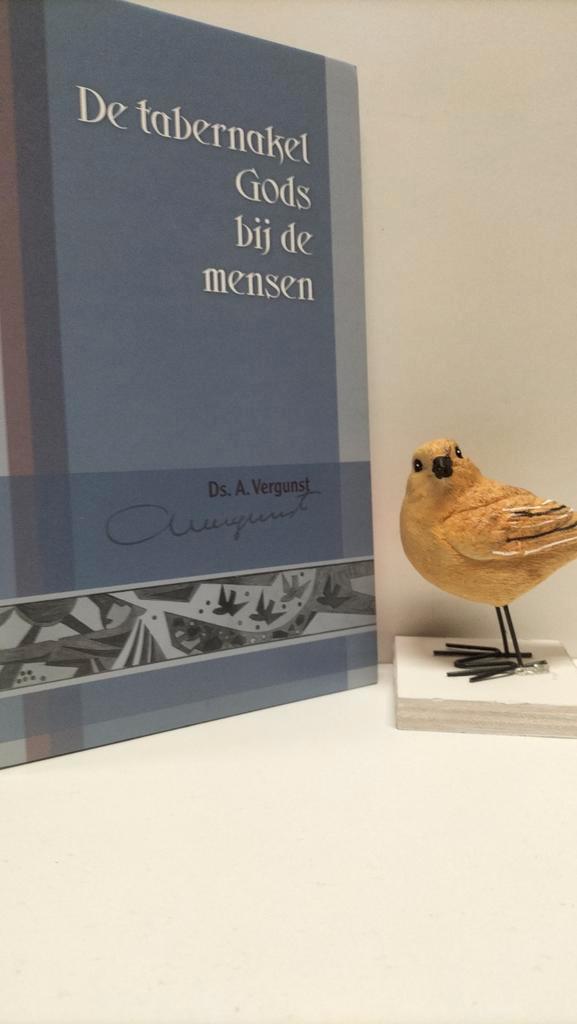 Vergunst, Ds. A.; De tabernakel Gods bij de mensen, Boeken, Godsdienst en Theologie, Gelezen, Christendom | Protestants, Ophalen of Verzenden